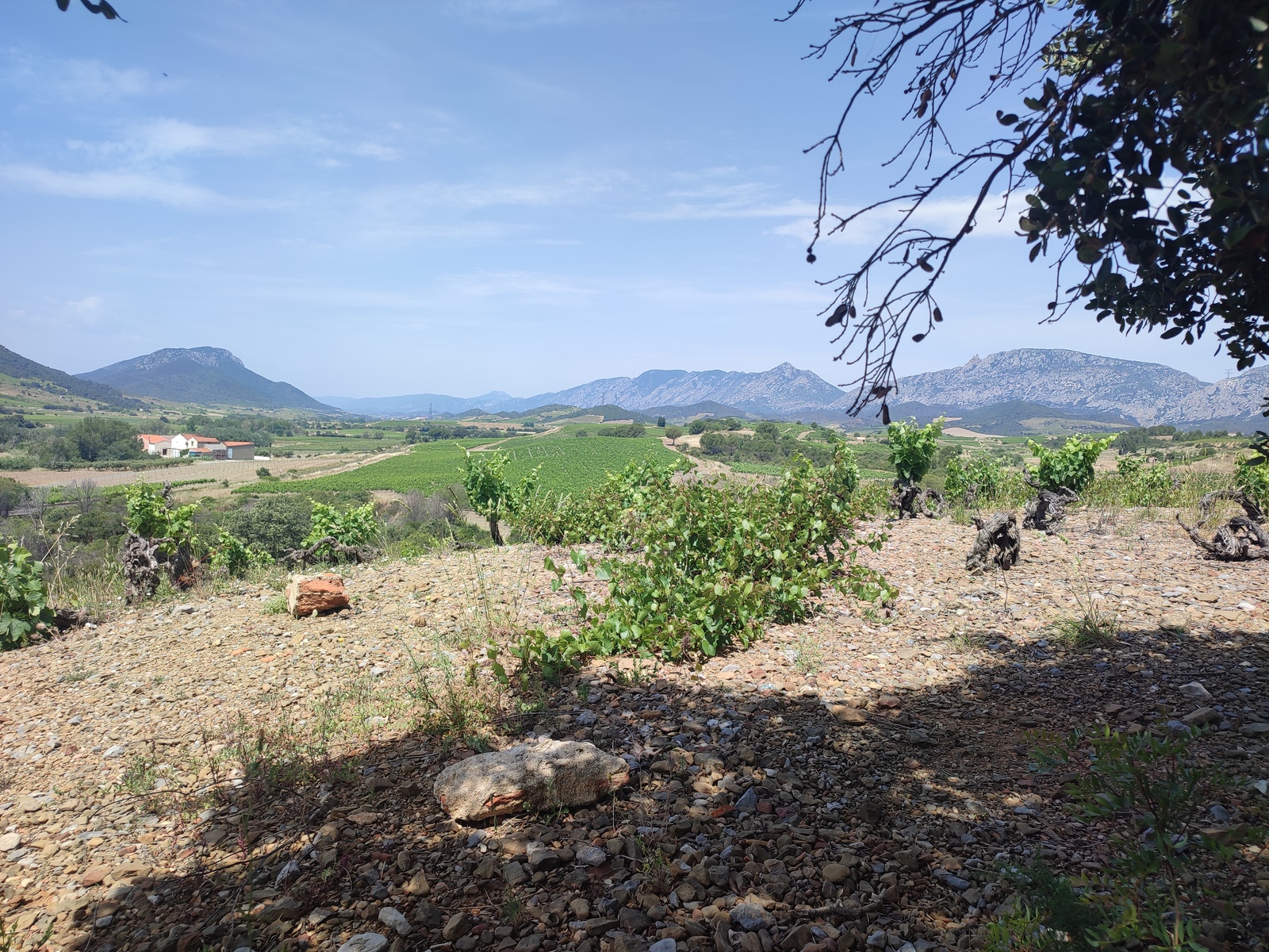 Mittagspause im Schatten